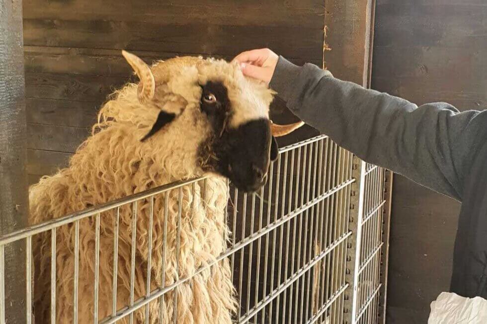 Ausflug in den Tierpark 😍